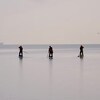 Trois hommes sur leur planche à pagaie.