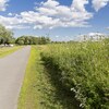 Gestion différenciée au parc Félix-Leclerc dans l'arrondissement Mercier-Hochelaga-Maisonneuve.