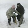 Deux pêcheuses tire une grosse morue des glaces de la rivière Saguenay.