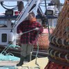 Un pêcheur de crabe prépare les casiers sur le quai, près d'un bateau accosté.