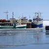 Des bateaux de pêche dans l'eau, au quai de Shippagan, des morceaux de glace flottent.