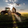 Épandage de pesticides sur un champ de soya