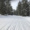 Une piste de ski de fond dans la forêt boréale, en hiver.