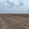 Après plusieurs années consécutives de sécheresse, les précipitations abondantes, particulièrement observées au cours des deux dernières semaines dans le sud de la Saskatchewan, redonnent vie aux sols agricoles en prévision de la saison des récoltes. Photo prise le 8 mai 2024.