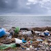 Des déchets échoués sur une plage en bordure de mer