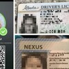 Un montage photo montre à quoi ressemble l'application Portpass ainsi qu'une photo d'un permis de conduire et d'une carte Nexus.