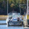 Les pêcheurs de homard du quai de Loggiecroft déchargent leurs dernières prises de la saison qui se termine le 12 octobre.