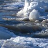 Un cours d'eau à la fonte des glaces