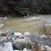 L'eau brune d'un ruisseau.