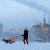 Une personne promène son chien à Saskatoon, en Saskatchewan, durant un avertissement de froid extrême en hiver.