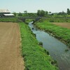 La rivière Boyer qui passe entre deux champs en culture.