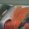 Des filets de saumons frais sur une table de travail dans une usine de transformation.