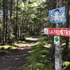 Un sentier de vélo dans le bois. Une pancarte avec le nom de la piste "la frustrée". 