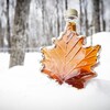 Une bouteille de sirop d'érable plantée dans la neige, face à des arbres encerclés de tubulures. Photo prise à l'érablière Nathalie Lemieux, à Saint-Pascal-de-Kamouraska.