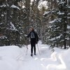 Un homme fait du ski de fond dans un sentier en forêt.