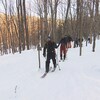 Des skieurs qui descendent la montagne dans la forêt.