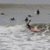Une dizaine de surfeuses à la recherche d'une bonne vague.