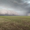 Des nuages formanbt une tornade dans un champ de la Saskatchewan.