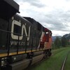 Une locomotive d'un train du CN avance sur des rails dans les Rocheuses.