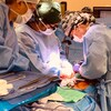 Les chirurgiens procèdent à l'installation du rein à l'intérieur du patient.