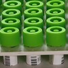 Rangée de tubes contenant des échantillons, tous fermés avec un bouchon vert pomme.