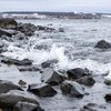 Un gros plan des rochers du rivage au parc d'Halifax.