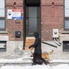 Une passante et son chien devant une maison à vendre, l'hiver.
