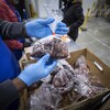 Un bénévole tient un sac de plastique transparent avec de la viande hachée avec ses mains gantées à la banque alimentaire de Surrey le 24 novembre 2022.