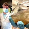 Vincent Ziffle montre une fiole, dans son laboratoire. 