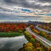 Des arbres aux couleurs d'automne et la ville de Toronto à l'horizon.