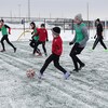 Des jeunes joueurs de soccer se disputent le ballon.