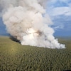 Une fumée intense au-dessus de la forêt.