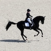 La Québécoise Naïma Moreira-Laliberté, sur son cheval Statesman, au galop, lors de l'épreuve du dressage aux Jeux olympiques de Paris.