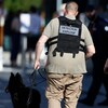 Un homme et une femme, vus de dos. Ils portent une veste où il est inscrit : détection explosif. L'homme tient un chien renifleur en laisse.