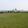 Des herbiers en bordure du fleuve Saint-Laurent. À l'arrière-plan, une vue panoramique de la ville de Québec.