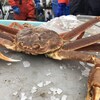 Un crabe sur un bateau.