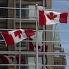 Canadian flags fly near Parliament Hill in Ottawa,  Tuesday, June 30, 2020. THE CANADIAN PRESS/Adrian Wyld
