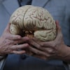 Un homme tient un modèle en plastique d'un cerveau.