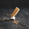 Un mégot de cigarette écrasé.