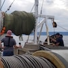 Pêche à la crevette.