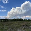 Une colonne de fumée d'un feu de forêt.