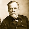 Louis Pasteur est assis, les mains croisées.