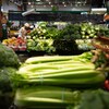Une personne fait ses courses dans le rayon légumes frais dans un marché.