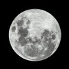 Gros plan sur la pleine Lune.