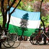 Le drapeau de la république de Cascadia accroché à deux arbres lors d'un rassemblement.