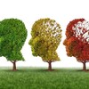 Illustration d'arbres perdant leurs feuilles pour illustrer les problèmes de démence, de perte de mémoire et la maladie d'Alzheimer.