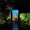Des projections d'images de forêts sur des voilages dans une pièce sombre au milieu de laquelle trône un écran diffusant des images en nuages de points d'une forêt.