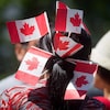 Une femme de dos avec six petits drapeaux du Canada plantés dans ses cheveux.