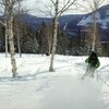 Un skieur aux Champs-de-Mars dans la réserve faunique des Chic-Chocs