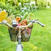 Un panier de vélo rempli de légumes et de fleurs.